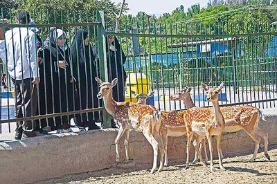 زندان‌هایی برای حیوانات!