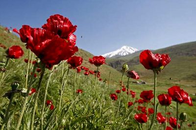 با ۱۰ دشت رویایی ایران آشنا شوید